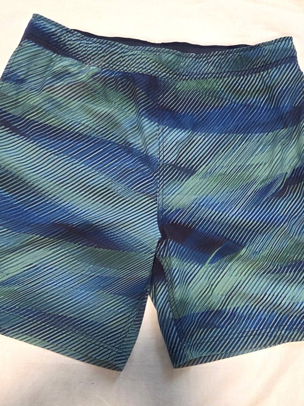 Men’s Speedo Tech Volley Lined Swim Trunks – Size XL, Blue and Green, NWOT